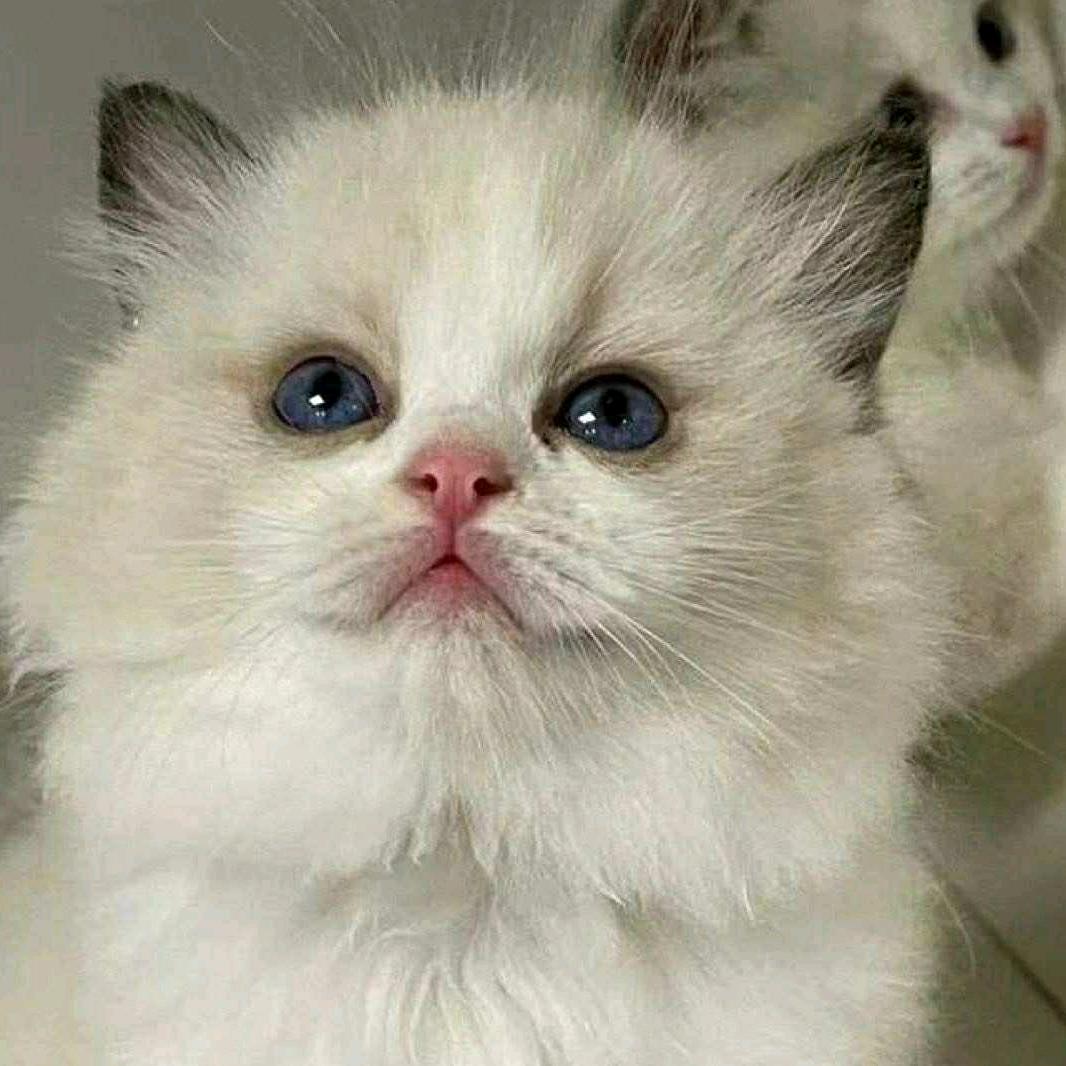 邹晨辉江夏春干百货优品店