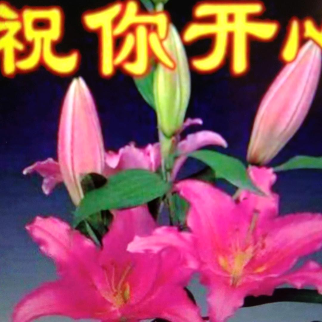追梦