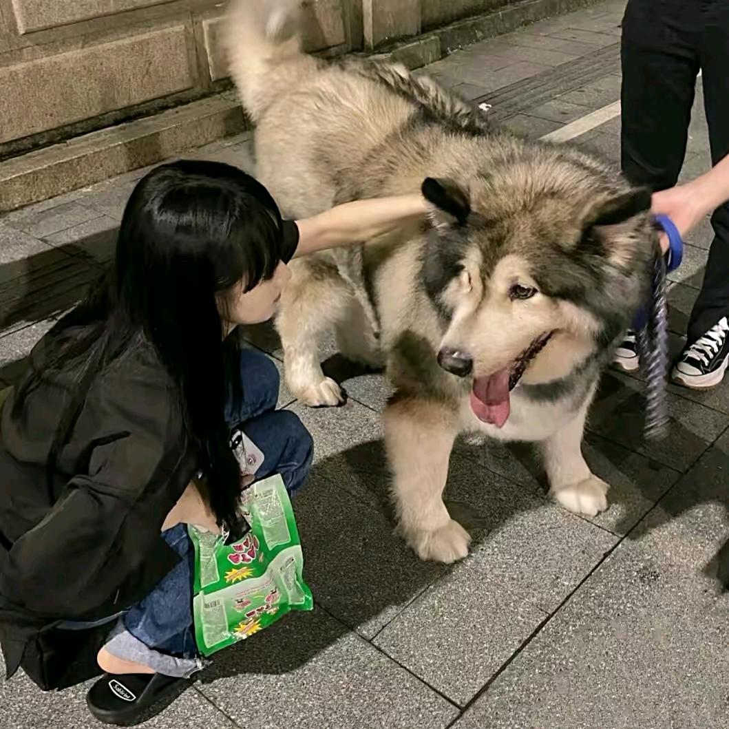 少年女孩🐶