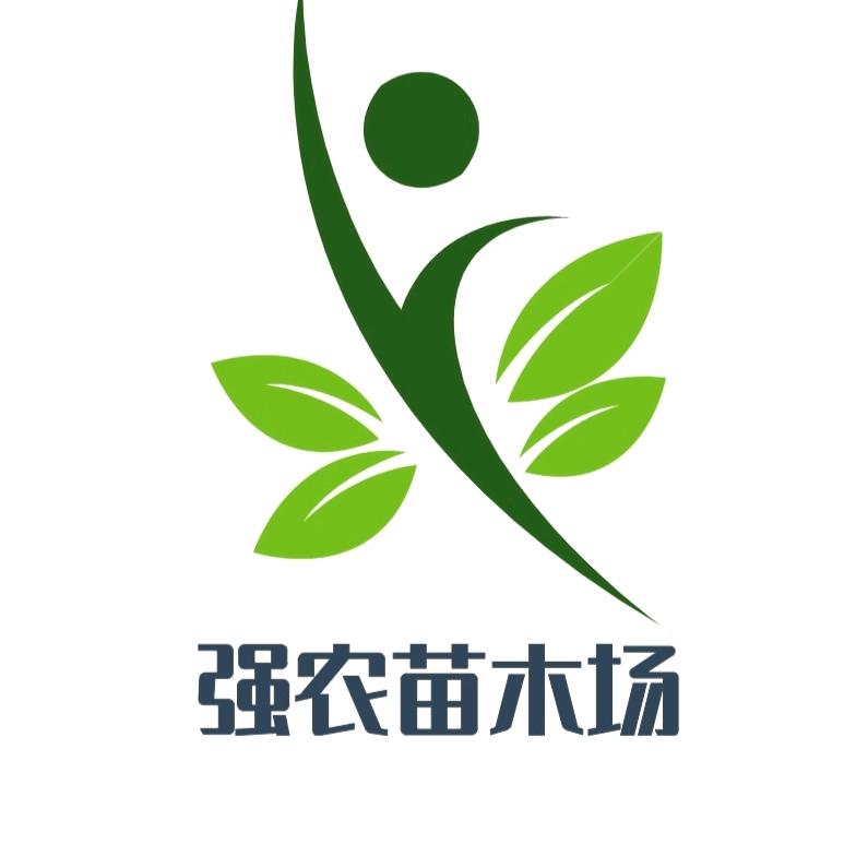 啊强释迦果育苗场