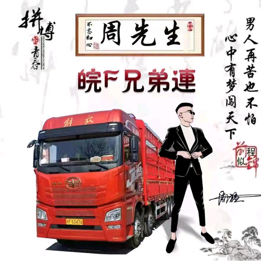南征北战🚚🚚🚚