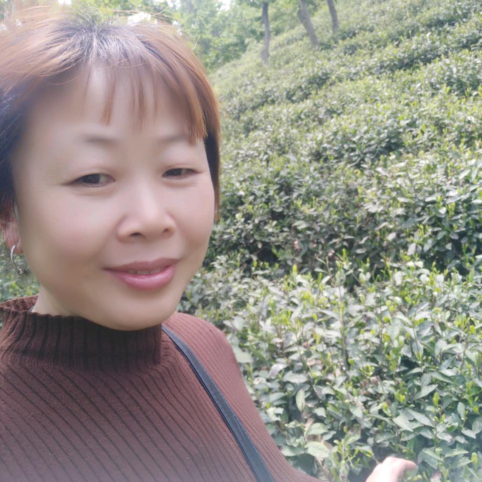 李家寨云水寺茶场信阳毛尖彩云