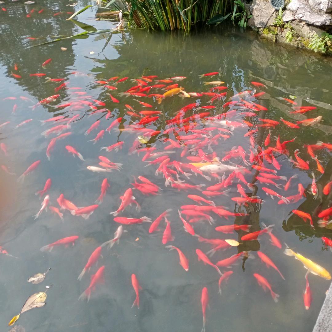 ＿生的执着