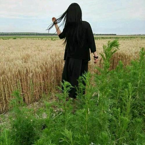 莫离