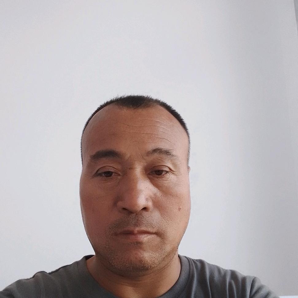 毛胡煤球