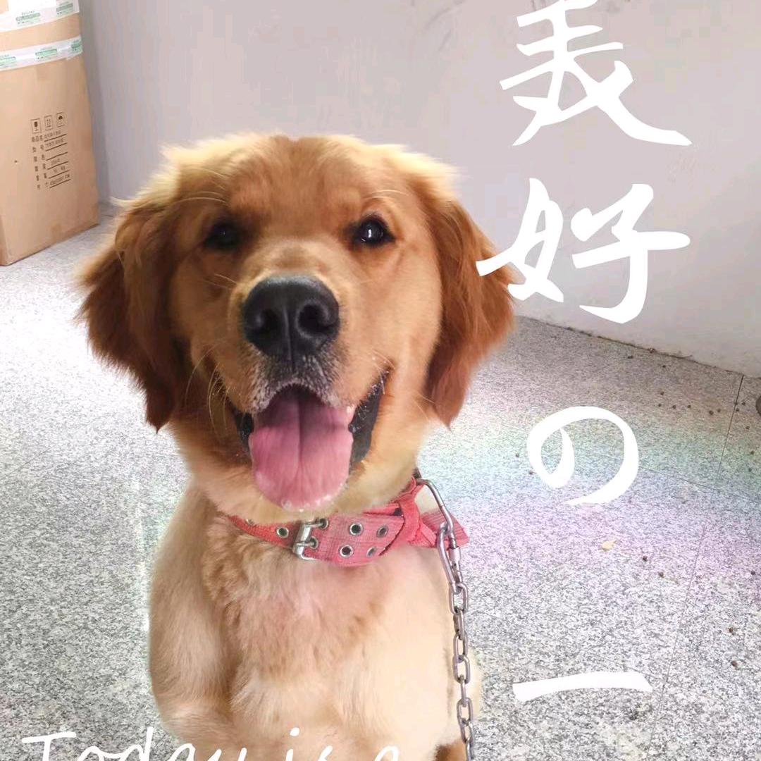傻大哥外贸百货