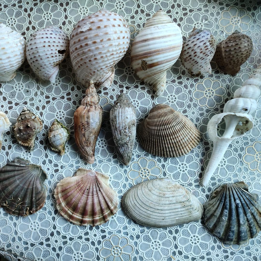 打酱油的