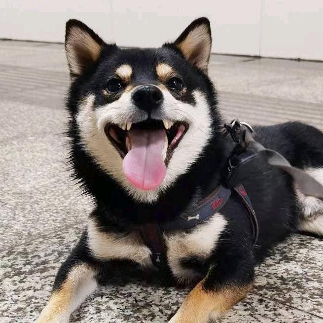 yy