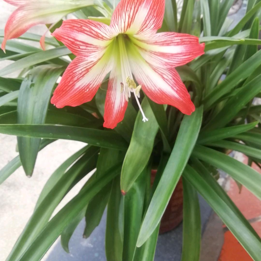 王永福