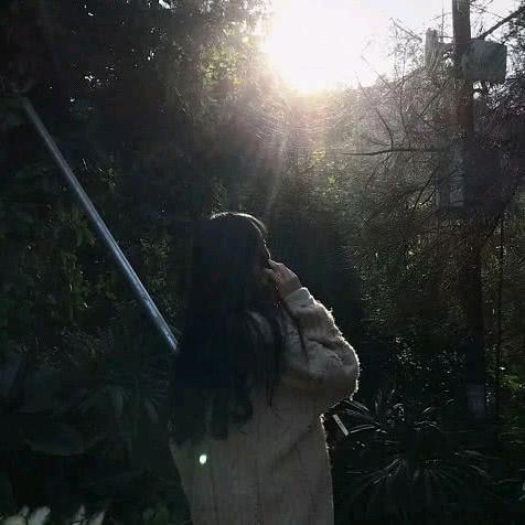 阿芹🌸