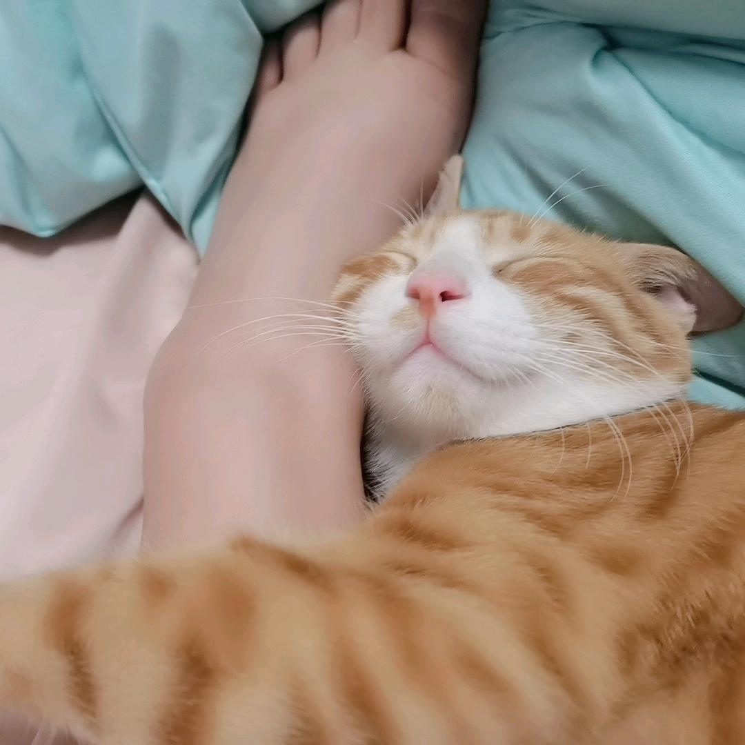 古希腊掌管BL的神