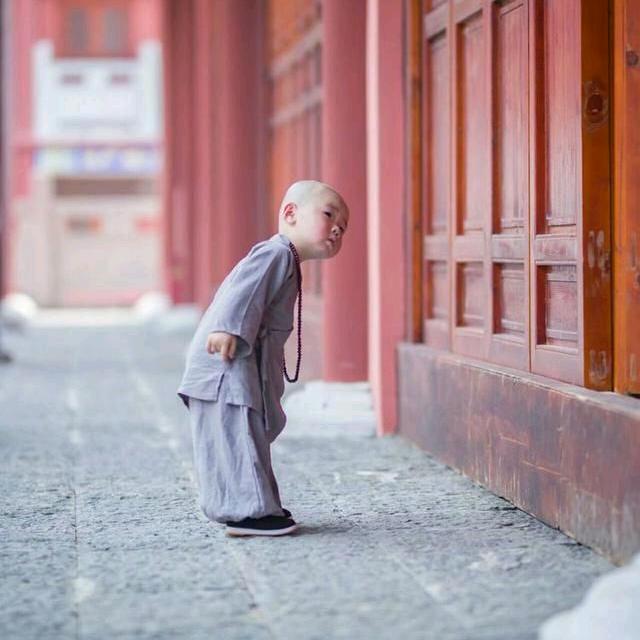 一生无悔🎉🎉🎊🎊