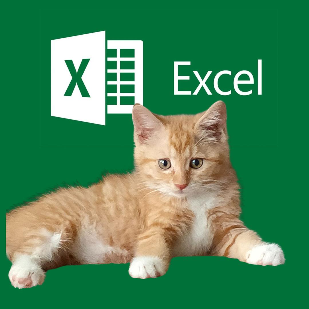 ExcelD