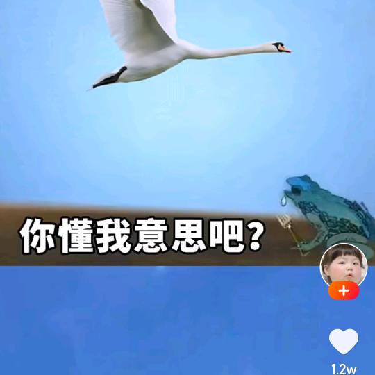 今年一定發