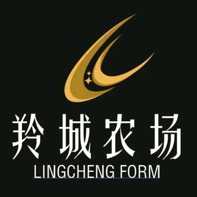 西北菌业-羚宝优选