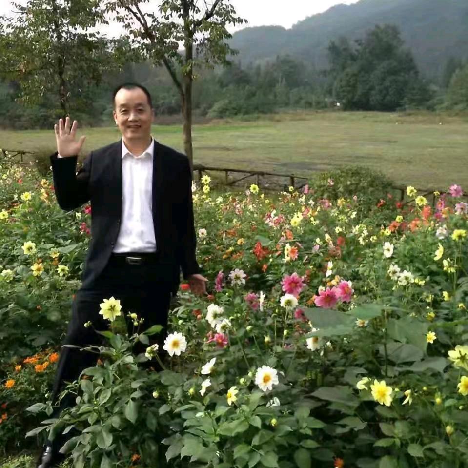 龙头陈佩斯