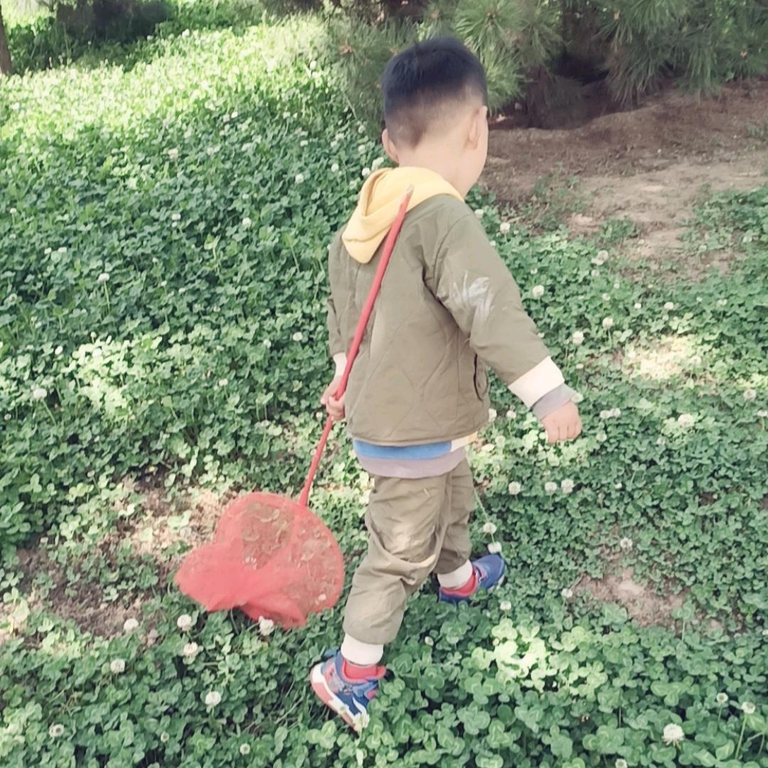 频率高了你来