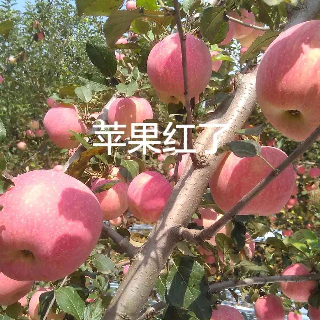 风平浪静