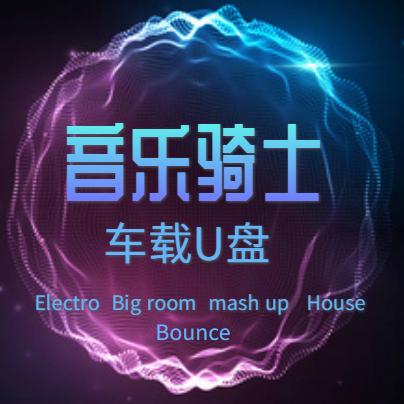 全球电音（车载U盘）