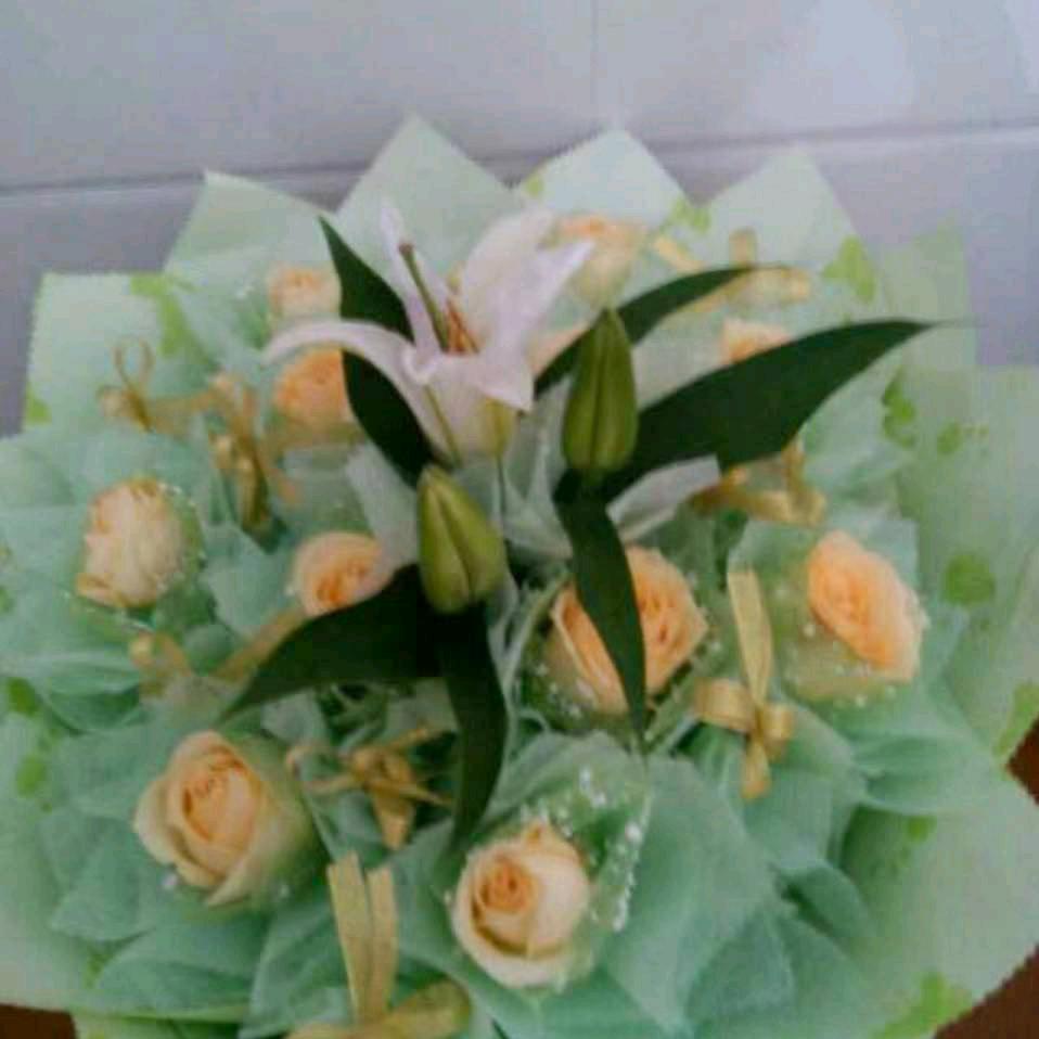 💞萍萍💞（拒绝私聊）