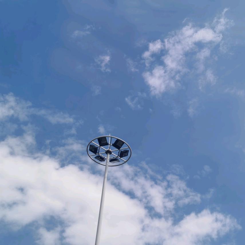 一只干啥啥不行的胖大海