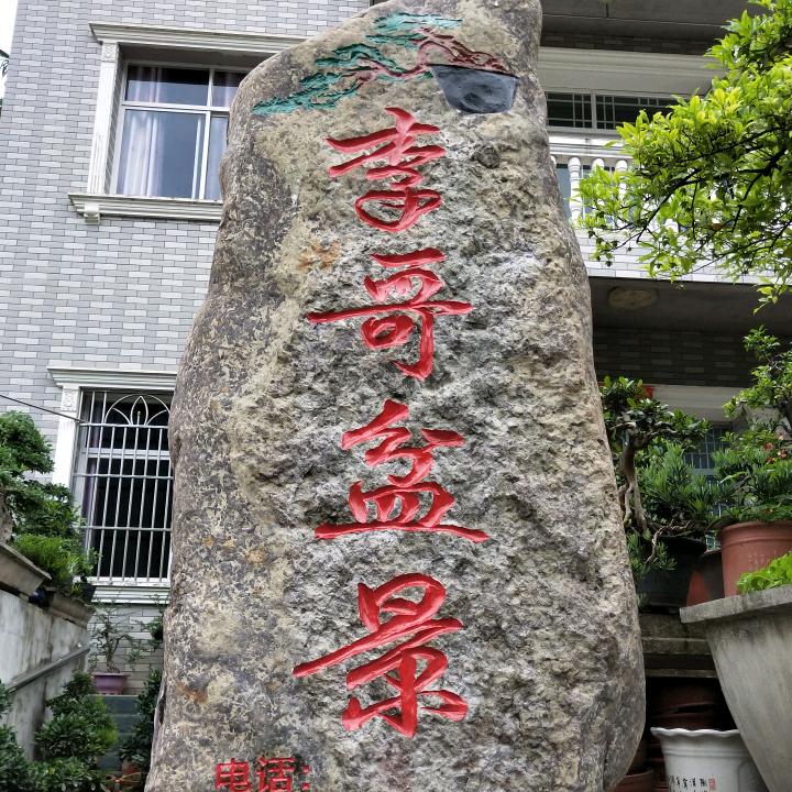 李哥盆景