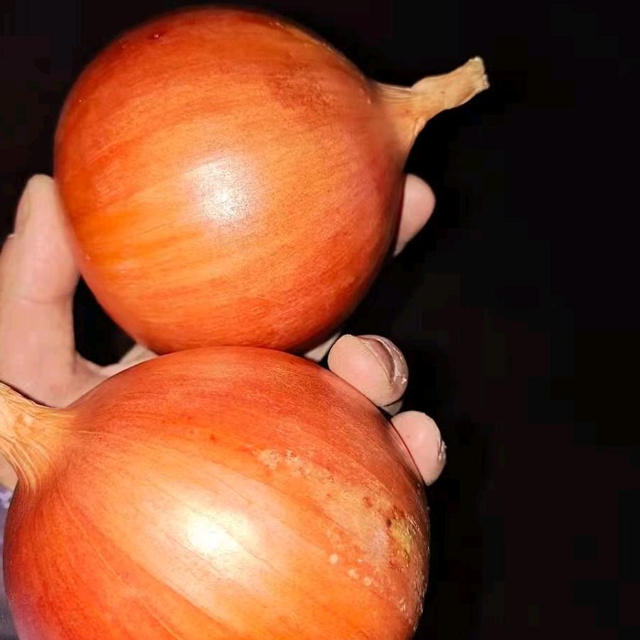 龙翔