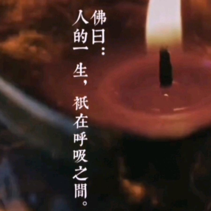 养生呼吸