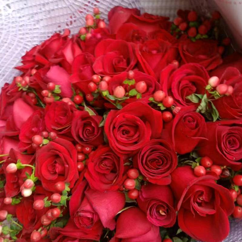 带刺玫瑰