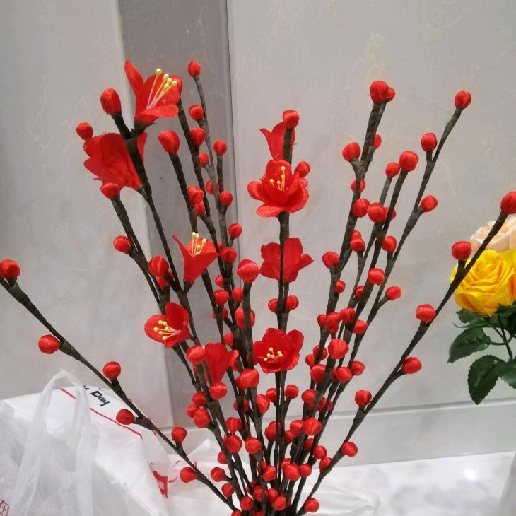 开心姐姐🌷
