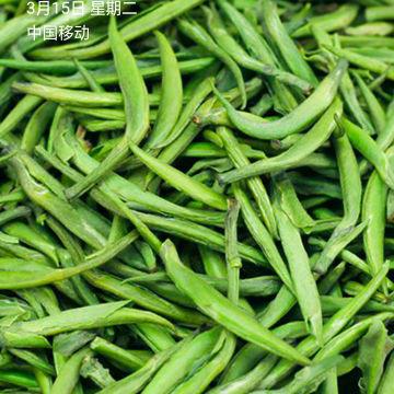 冷酷女侠茶坊