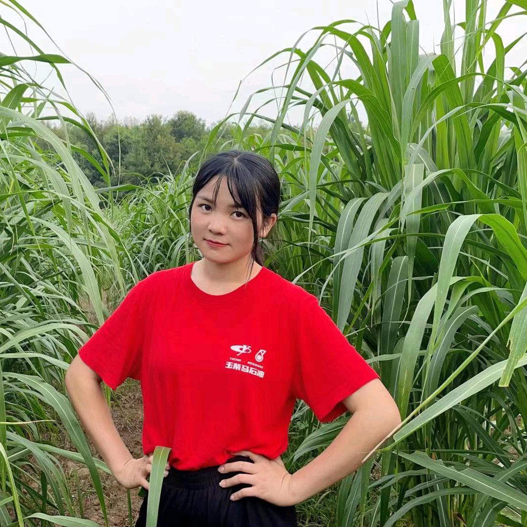 羊妹小池-牧草养殖