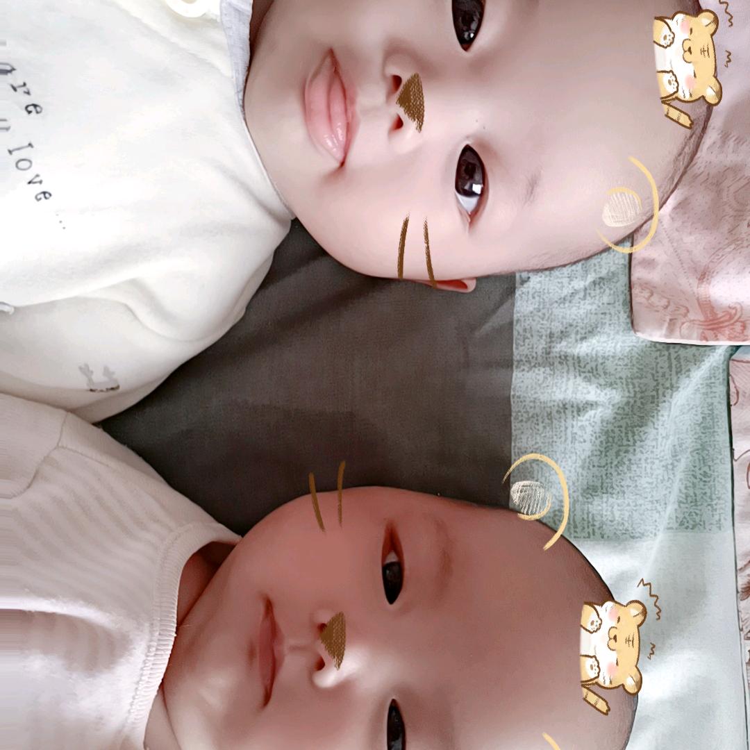 萍姐姐