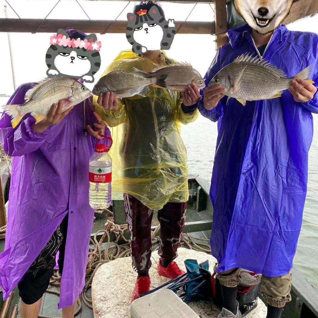 海和鱼亲