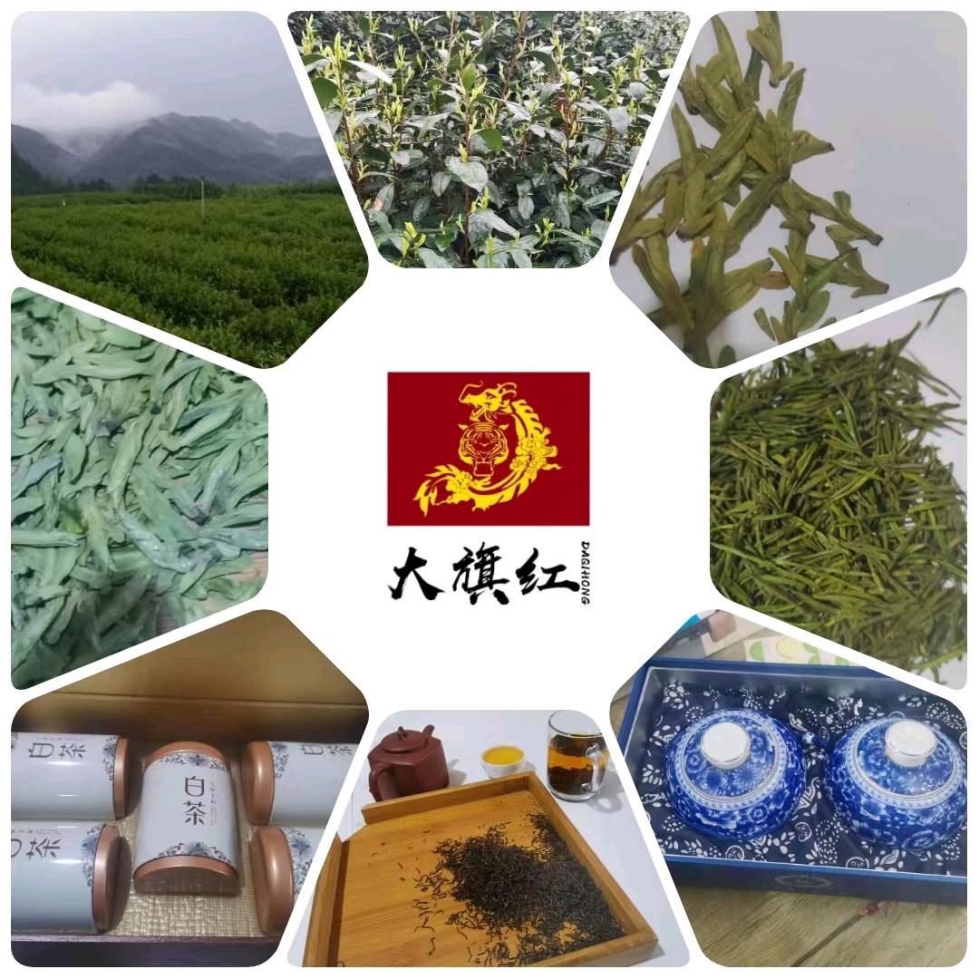 大旗红茶