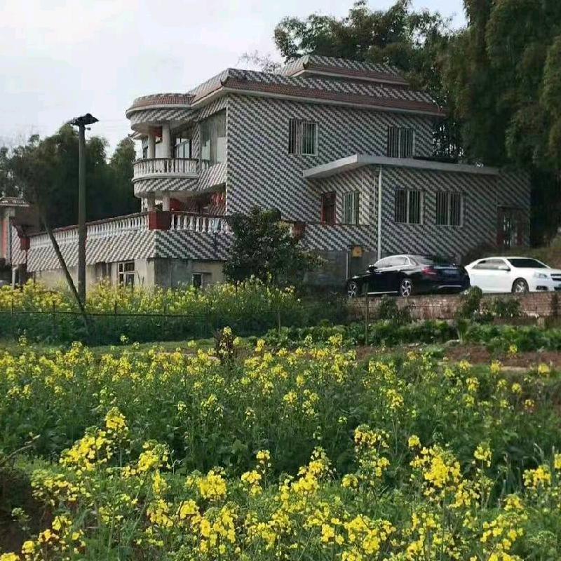 风景