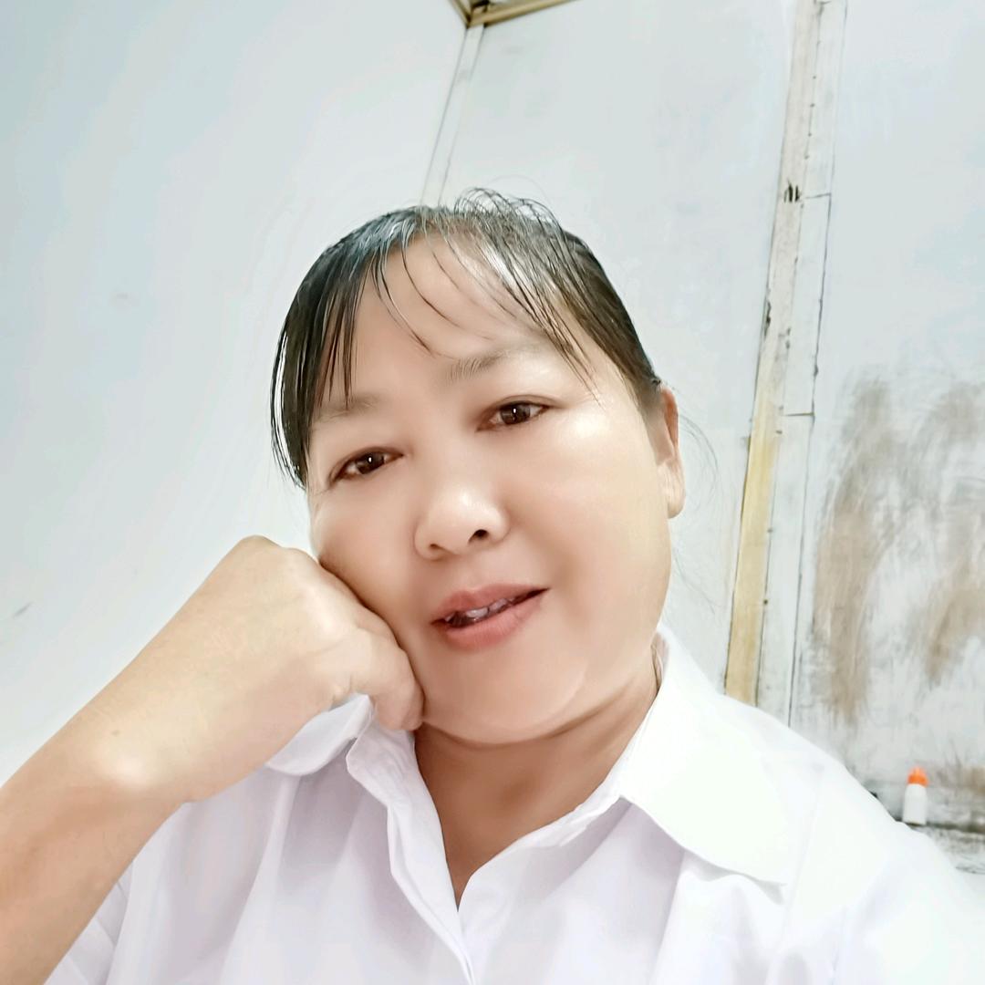 南飞雁