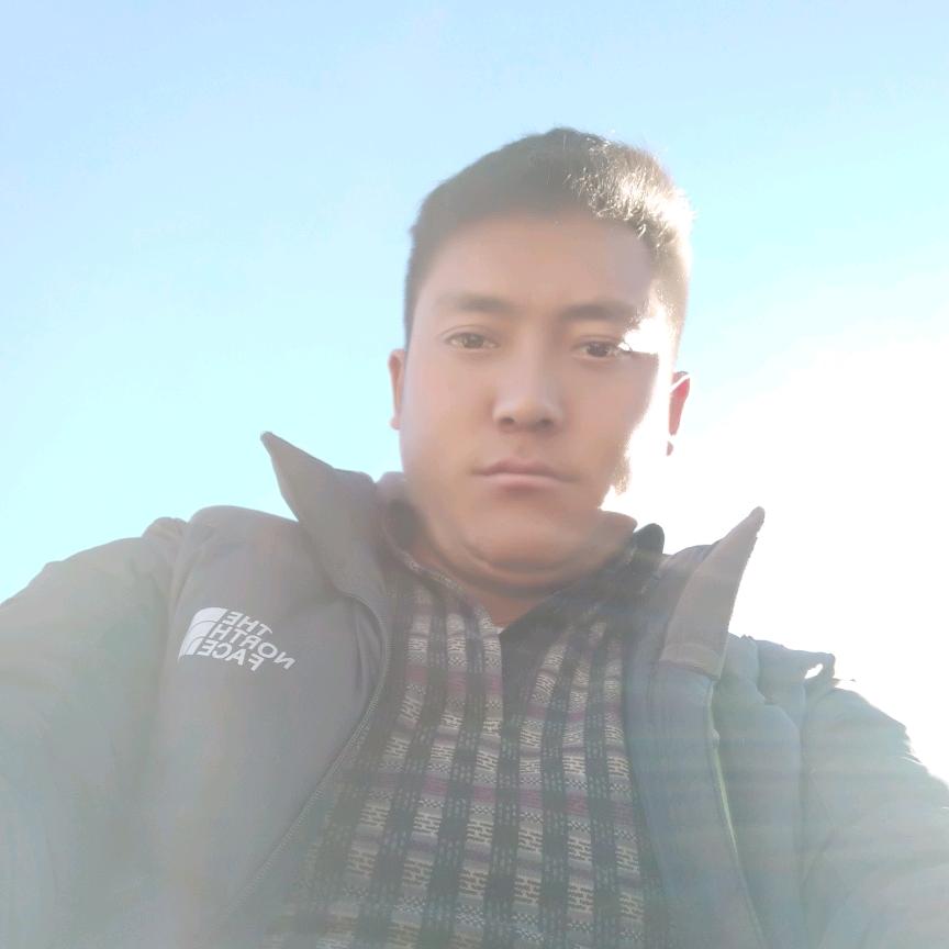 啊罗