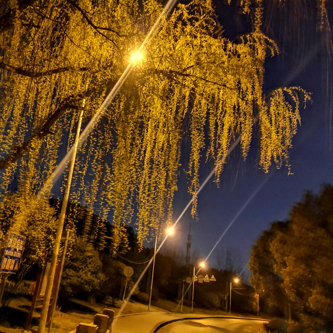 上海车趣汽车服务有限公司