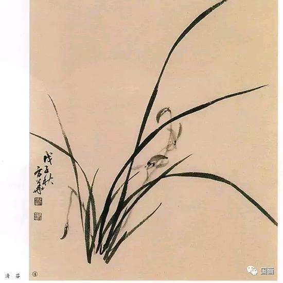 墨兰