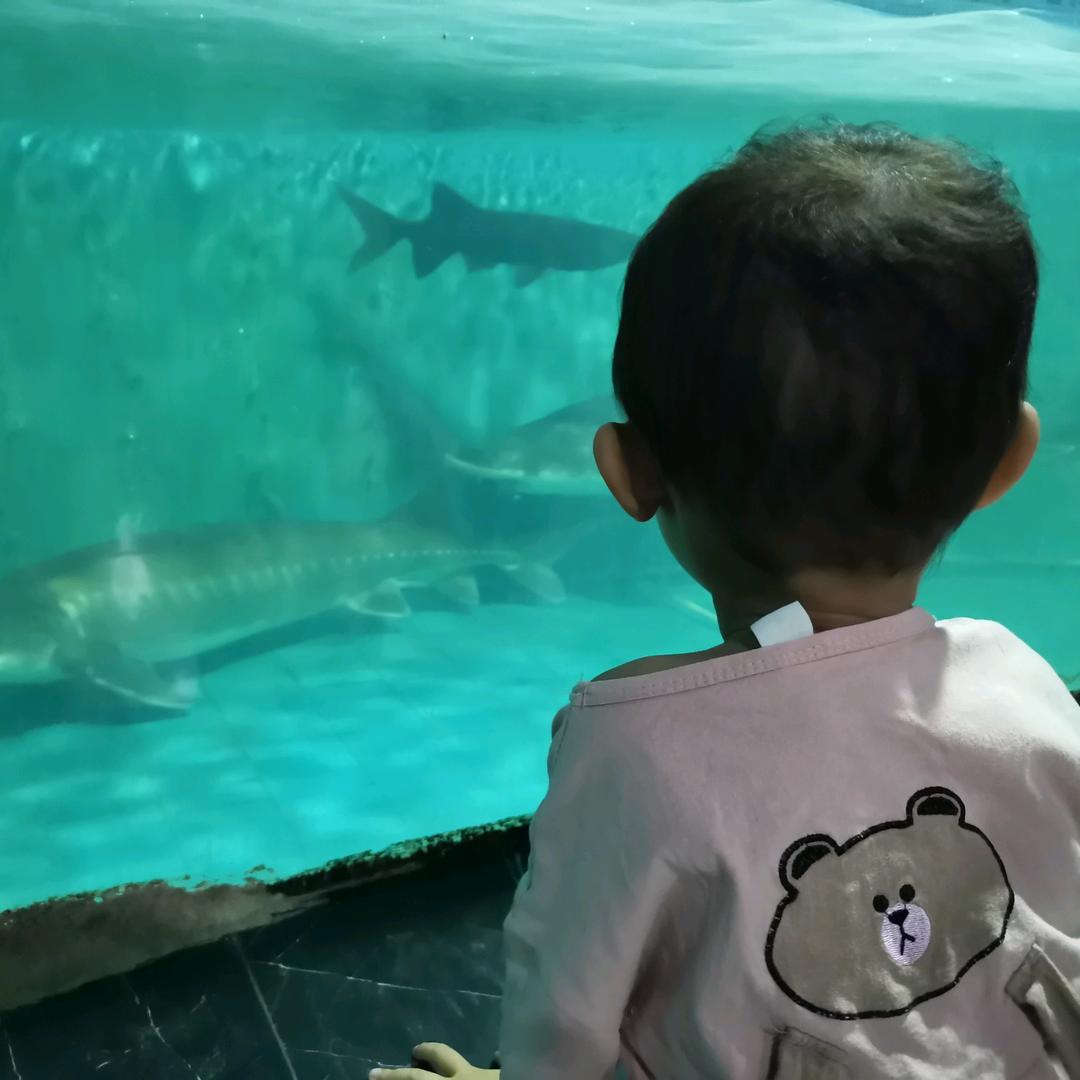 郑小鲜