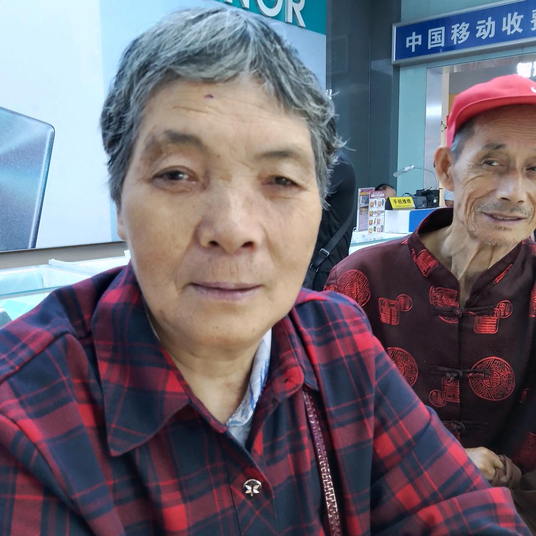 金色枫叶