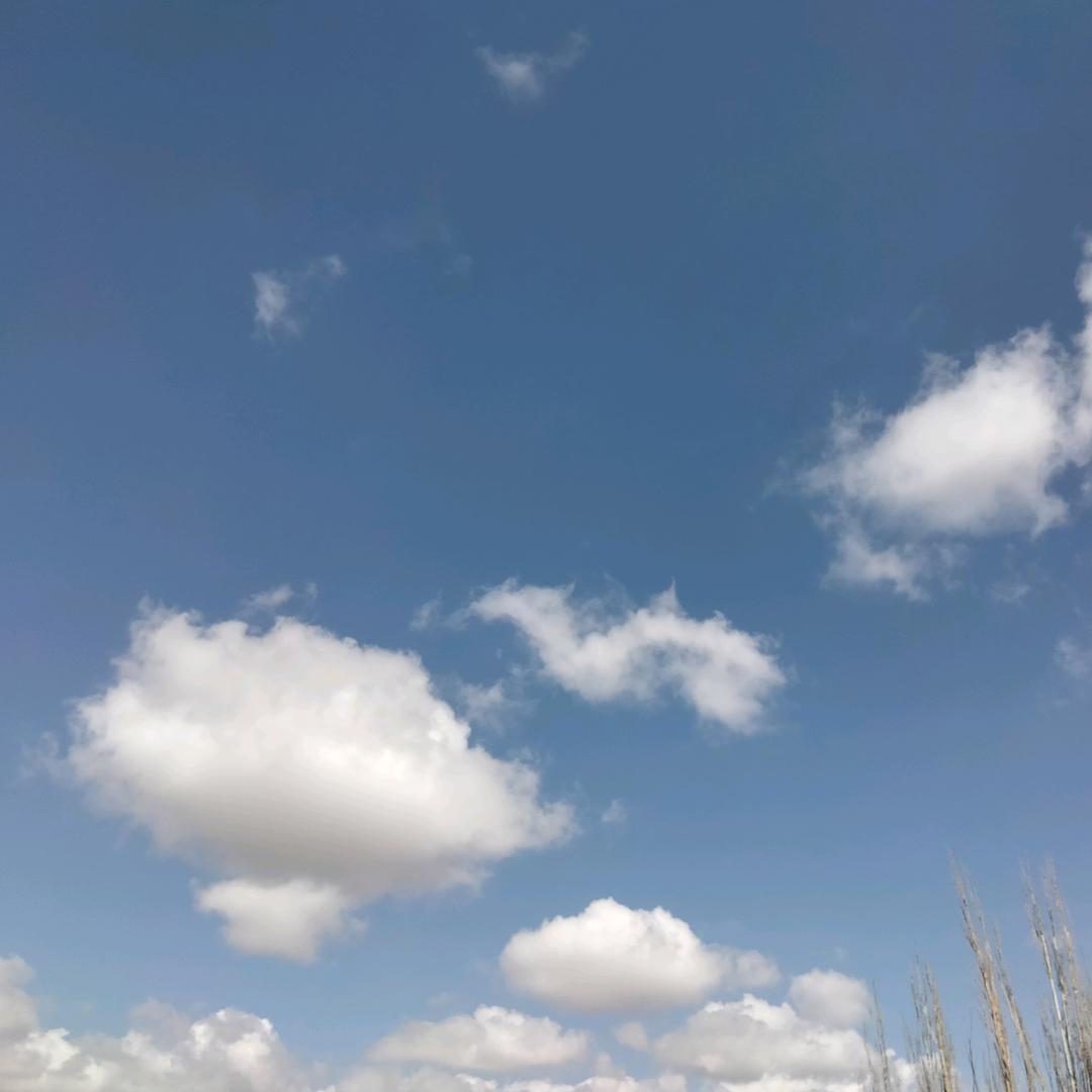 懒洋洋 晒太阳