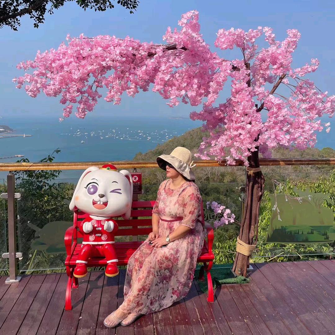 阳外婆(拒私聊)