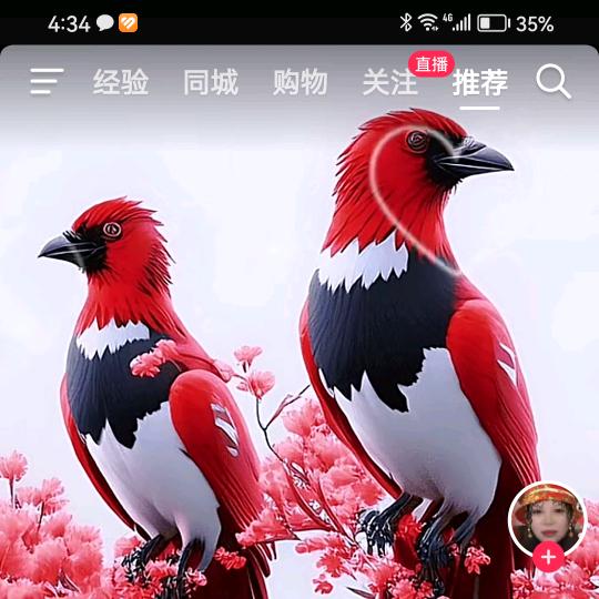 用户707644928093