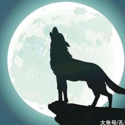 徐工起重阿登哥