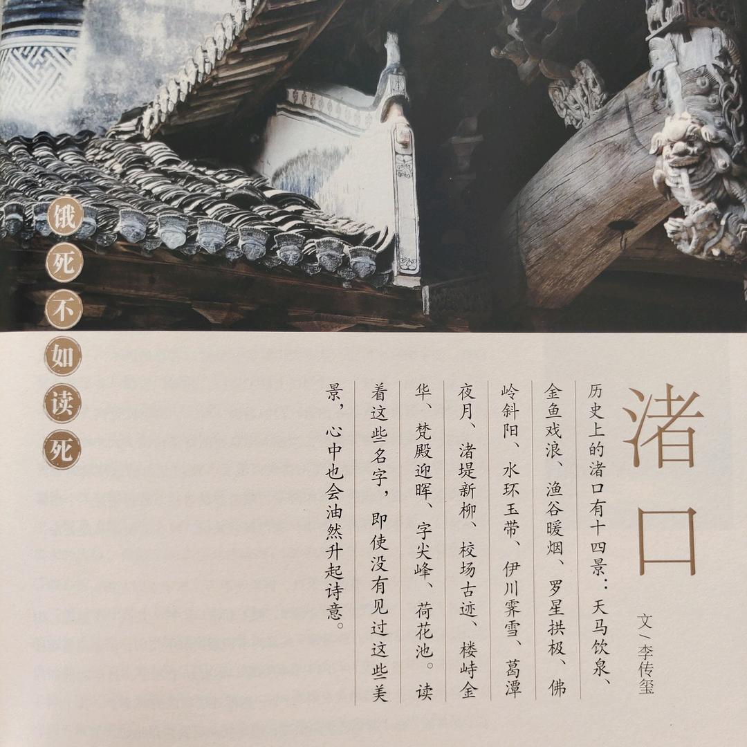 大侠🍊💤💤