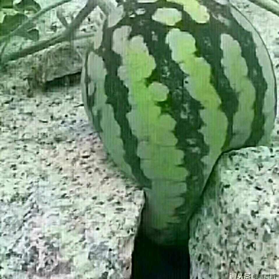 上善若水