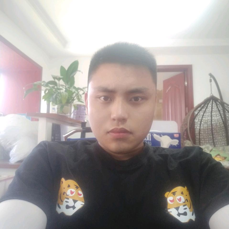万禽王:张琪