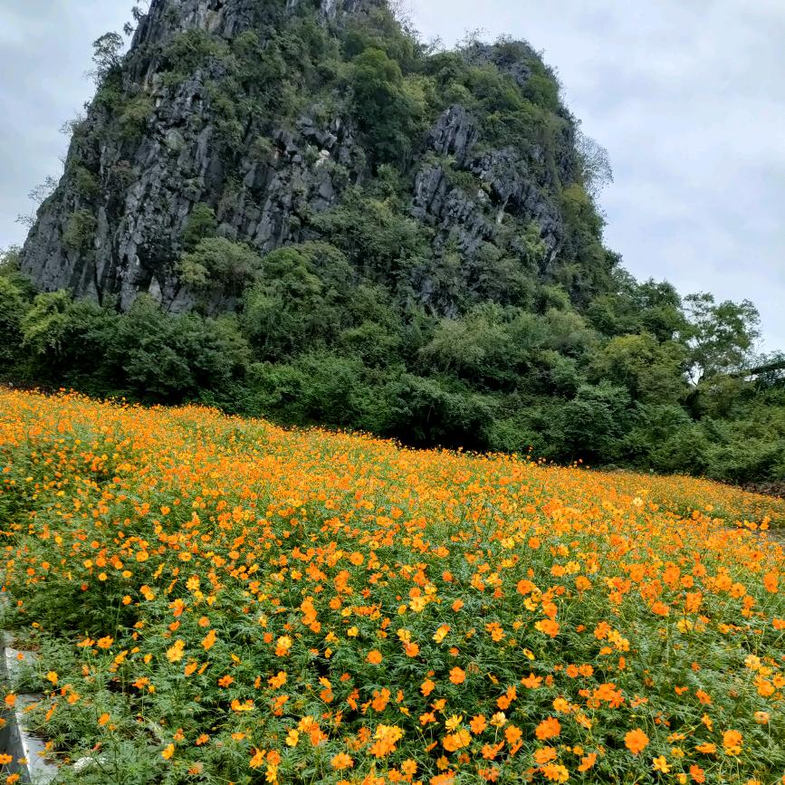 媚姐↙建议您好好照顾你妈妈卜恩进事